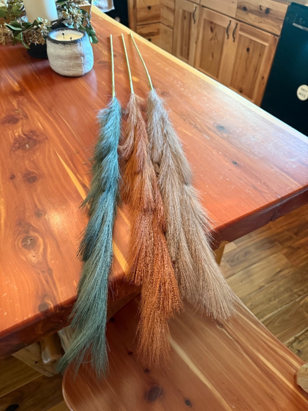Pompas grass stems NWOT